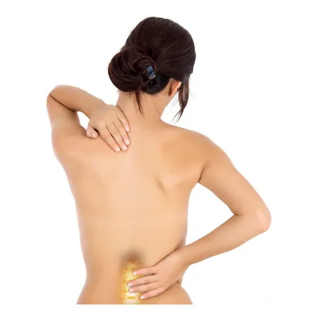 Lendenwirbels�ule mit Stativ