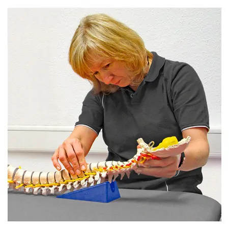 Mobilisationskeil-Set, 2-tlg.