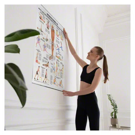 Lehrtafel Stretching III, LxB 100x70 cm