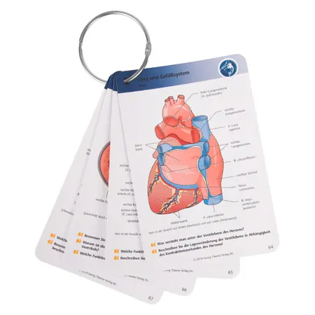physioLernkarten - Physiologie fr Physiotherapeuten, 415 Karten