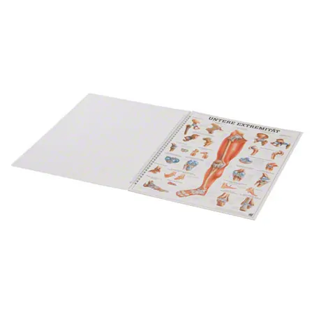 Mini-Poster Booklet Anatomie des Menschen, LxB 34x24 cm, 12 Poster