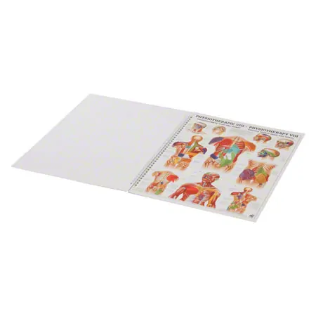 Mini-Poster Booklet Physiotherapie des Menschen, LxB 34x24 cm, 12 Poster