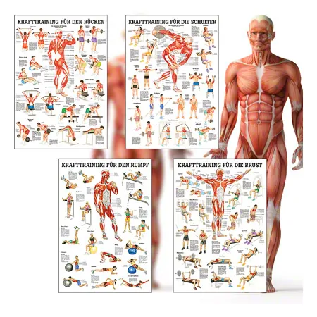 Mini-Poster Booklet Fitness und Krafttraining, LxB 34x24 cm, 12 Poster