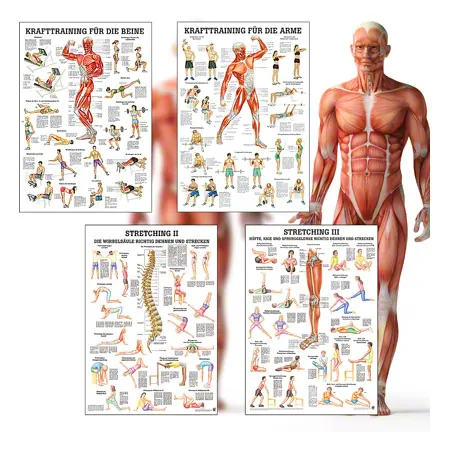 Mini-Poster Booklet Fitness und Krafttraining, LxB 34x24 cm, 12 Poster