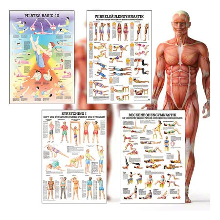 Mini-Poster Booklet Fitness und Krafttraining, LxB 34x24 cm, 12 Poster