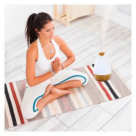 Ultraschall Luftbefeuchter Aroma Diffuser AL-1300WS