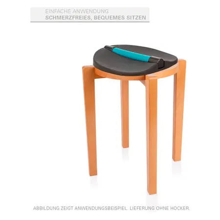 Alonea Beckenbodentrainer PelvicTool, inkl. Transportkoffer