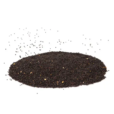 Thera Seeds Sensorik Raps, gereinigt, 3 Kg im Eimer
