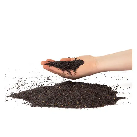 Thera Seeds Sensorik Raps, gereinigt, 3 Kg im Eimer