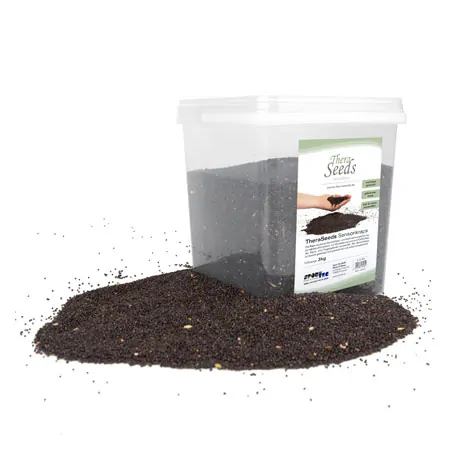 Thera Seeds Sensorik Raps, gereinigt, 3 Kg im Eimer