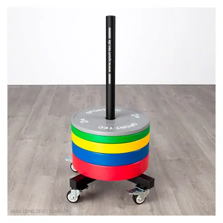 Bumper Plate Aufbewahrungswagen, fahrbar, LxBxH 60,5x60,5x97 cm
