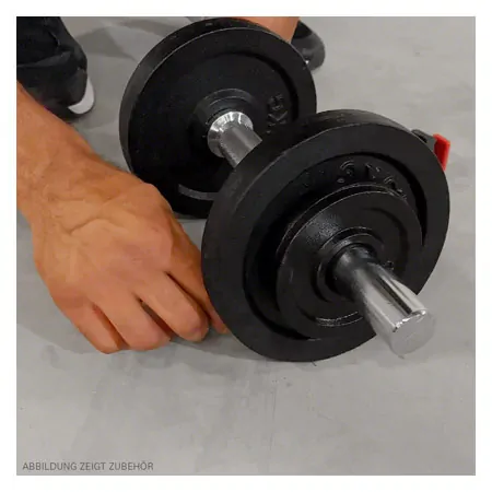 Hantelscheibe aus Gueisen, Bohrung  3 cm, 1,25 kg, Paar
