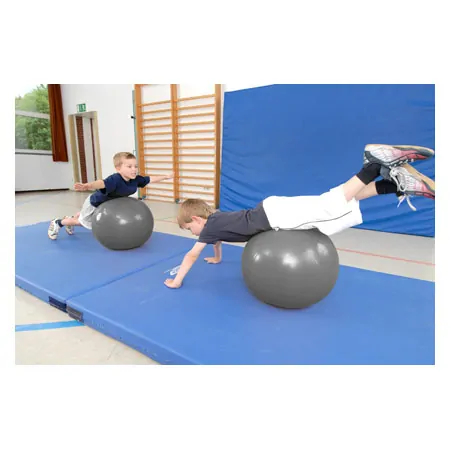 ARTZT thepro Fitness-Ball,  45 cm, anthrazit