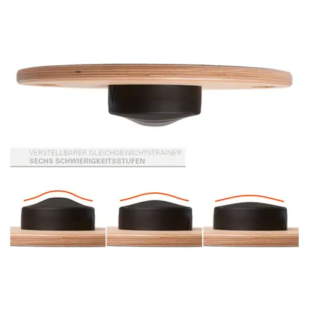 ARTZT thepro Balance-Kreisel Wobblesmart,  39 cm