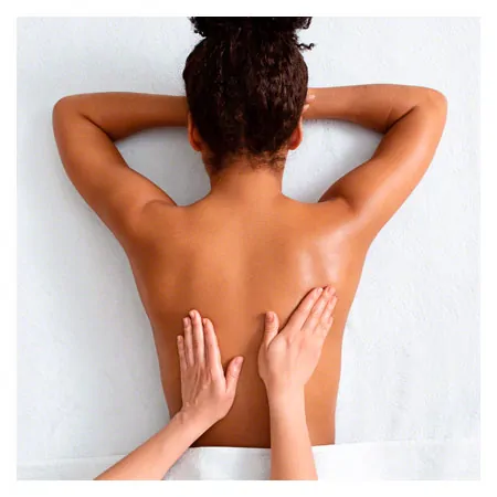Spitzner Massagecreme Argan, 1 l inkl. Dosierpumpe