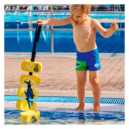 Delphin Schwimmscheiben bis 60 kg, Paar, 2x3 Scheiben inkl. BECO Schwimmgrtel