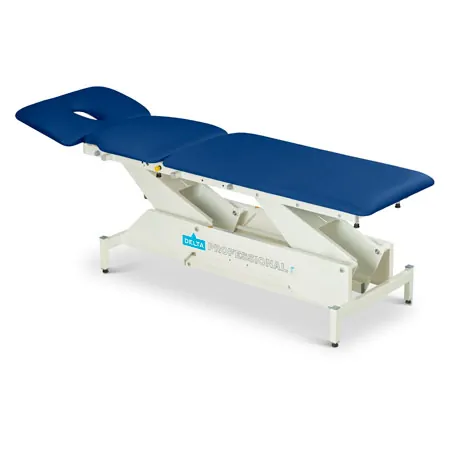 Lojer Therapieliege Delta DP3