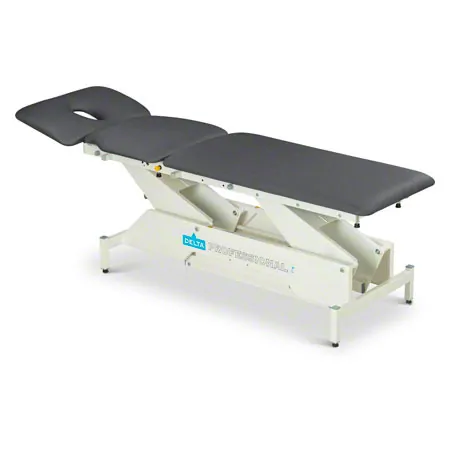 Lojer Therapieliege Delta DP3