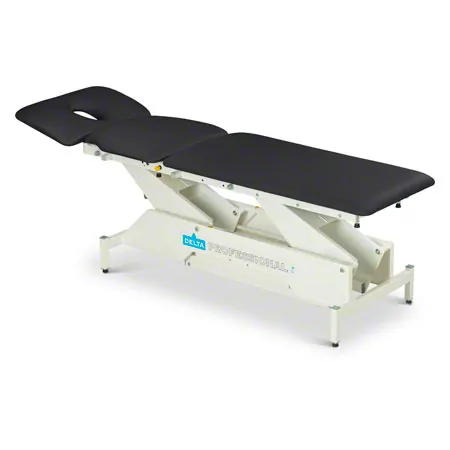 Lojer Therapieliege Delta DP3