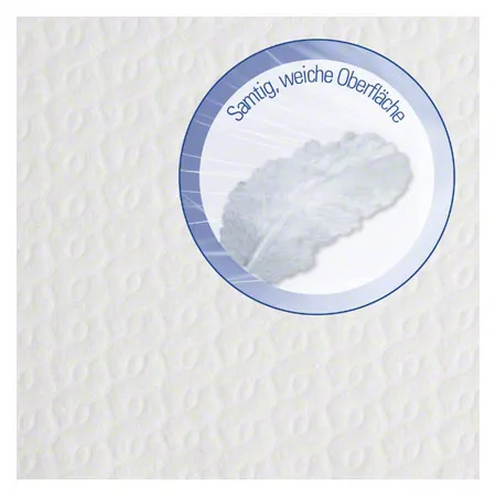 Nasenschlitzt�cher, Aktion: 5 Pack Nasenschlitzt�cher + eine Spenderbox GRATIS