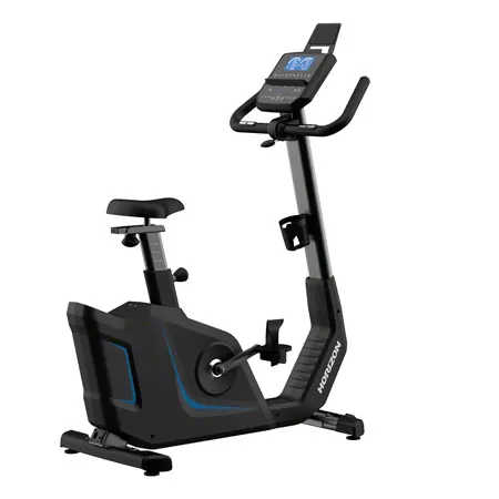 Horizon Fitness 5.0U Upright Bike