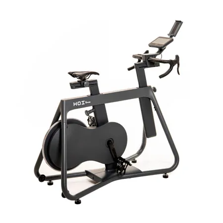 KETTLER Indoor Cycle HOI Frame+