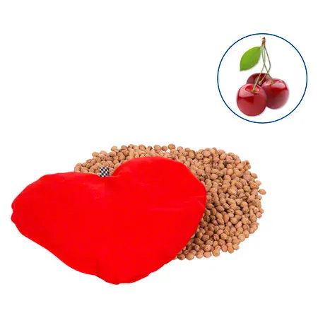 Kirschkernherz, 0.35 kg, LxB 23x20 cm