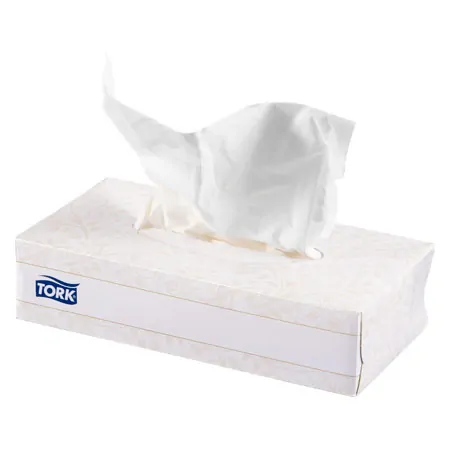 Kosmetikt�cher, LxB 20x20,8 cm, 100 St�ck