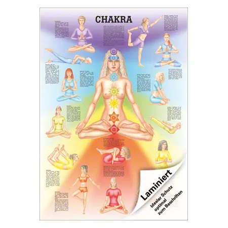 Lehrtafel Chakra, LxB 100x70 cm