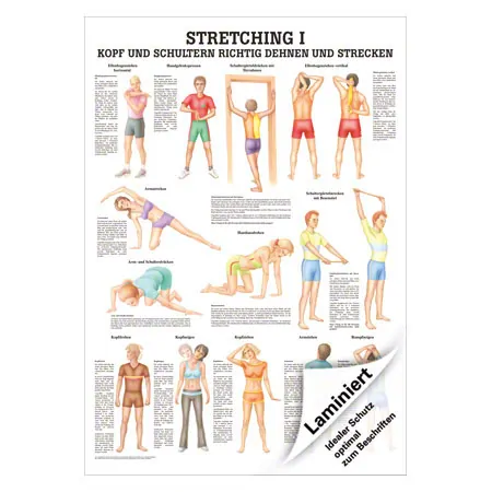 Lehrtafel Stretching I, LxB 100x70 cm