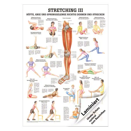 Lehrtafel Stretching III, LxB 100x70 cm