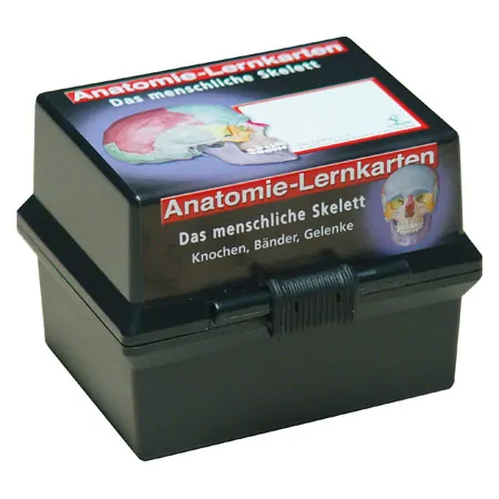Lernkrtchen Skelettsystem im Karteikasten, 303 Karten