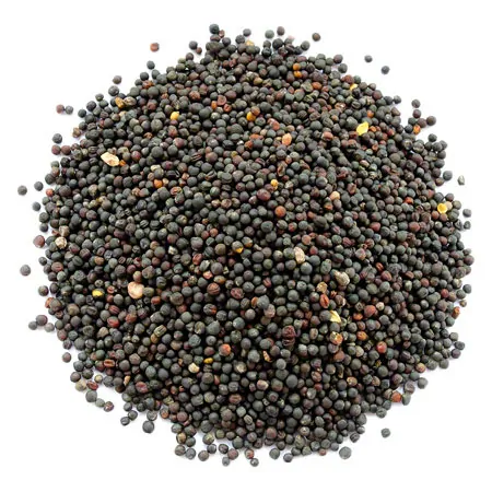 ManuTherm&nbsp;Rapssamen-F�llung f�r ManuThermBox, ca. 15 Liter