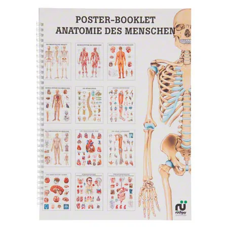 Mini-Poster Booklet Anatomie des Menschen, LxB 34x24 cm, 12 Poster