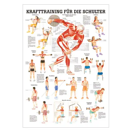 Mini-Poster Krafttraining Schulter, LxB 34x24 cm
