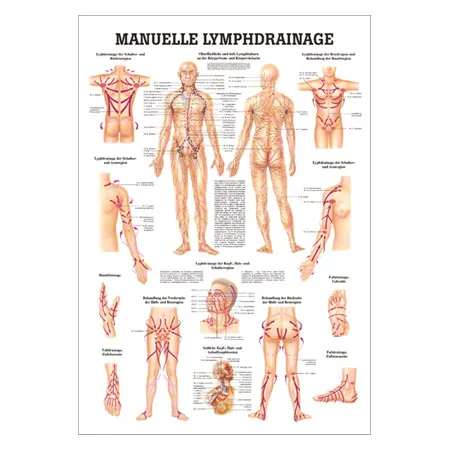 Mini-Poster Manuelle Lymphdrainage, LxB 34x24 cm