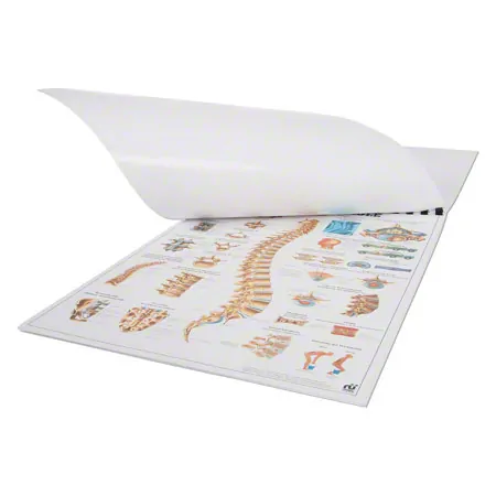 Mini-Poster Set, 20 Stck