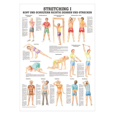Mini-Poster Stretching I, LxB 34x24 cm