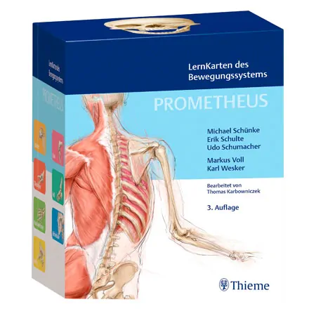 PROMETHEUS Lernkarten des Bewegungssystems, 400 Karten