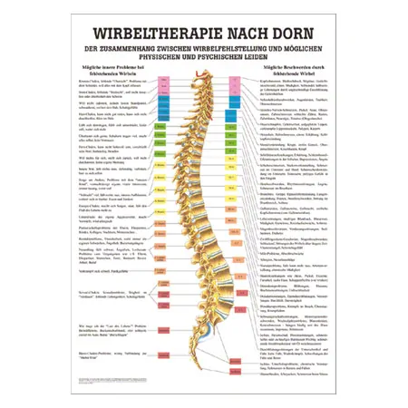 Poster Wirbeltherapie nach Dorn, LxB 70x50 cm