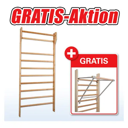 Sprossenwand, Aktion: Sprossenwand Standard, LxB 100x230 cm + Klimmzugb�gel GRATIS