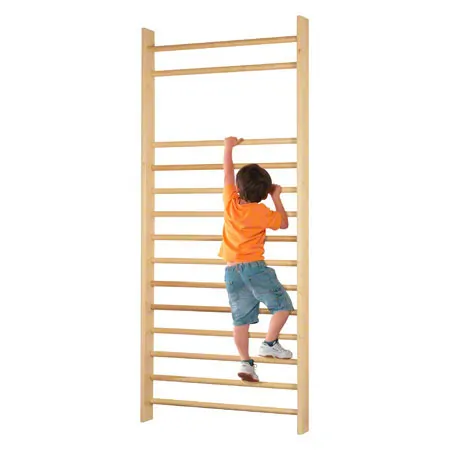 Sprossenwand, BxH 100x230 cm, 14 Sprossen