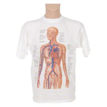 T-Shirt Kreislauf, Gr. XXL