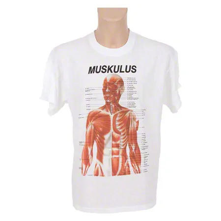 T-Shirt Muskulatur, Gr. XL