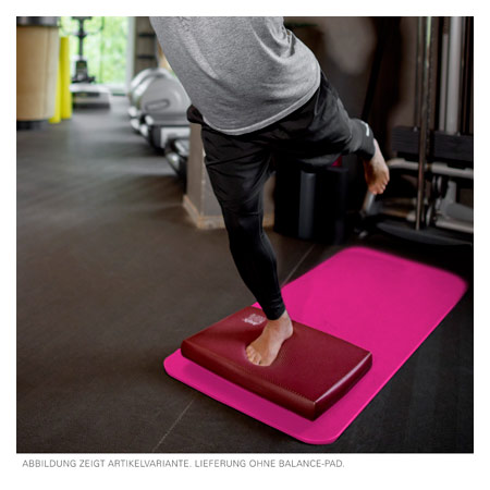 AIREX Gymnastikmatte Fitline 180, LxBxH 180x60x1 cm