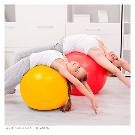 PEZZI Gymnastikball, ø 42 cm