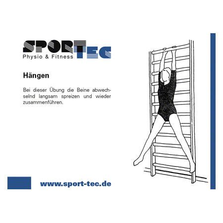 Sprossenwand, BxH 80x230 cm, 14 Sprossen
