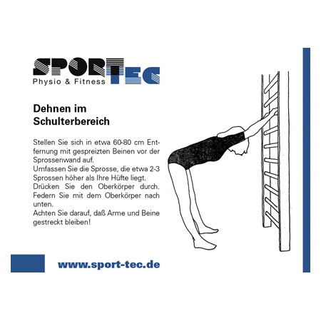Sprossenwand, BxH 80x230 cm, 14 Sprossen