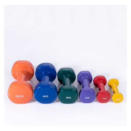 Wandhalterung-Set inkl. Hanteln, 0,5-5 kg, 6 Stück