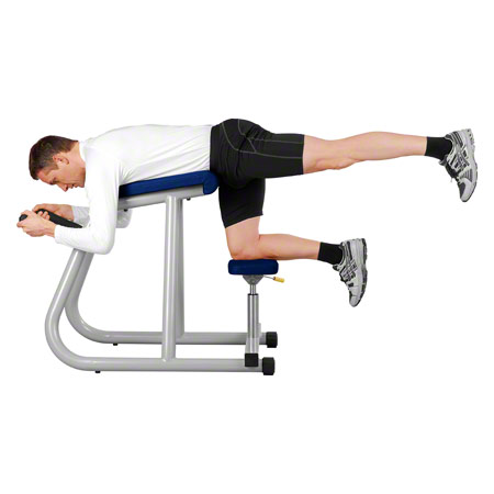ERGO-FIT Trainingsgerät Free Hip Bench